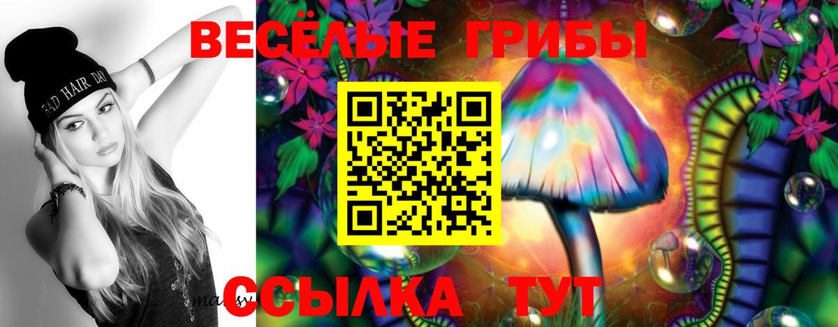 Галлюциногенные грибы Magic Shrooms Скопин