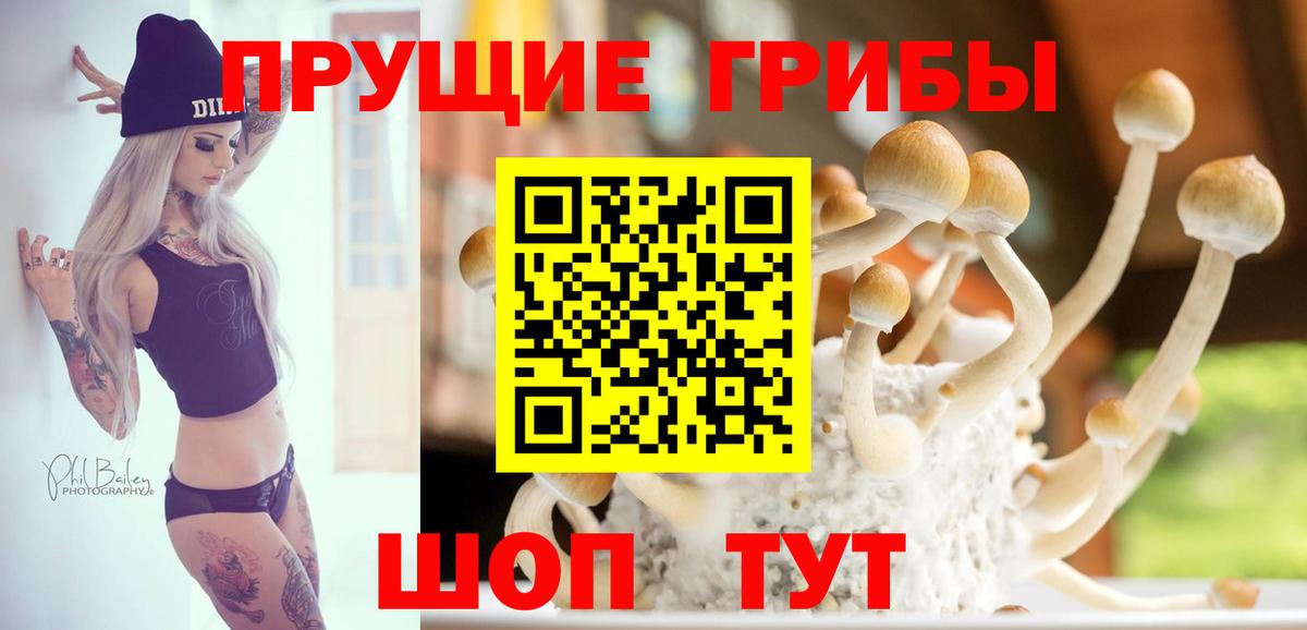 Скопин  Галлюциногенные грибы ЛСД  Вход с VPN 